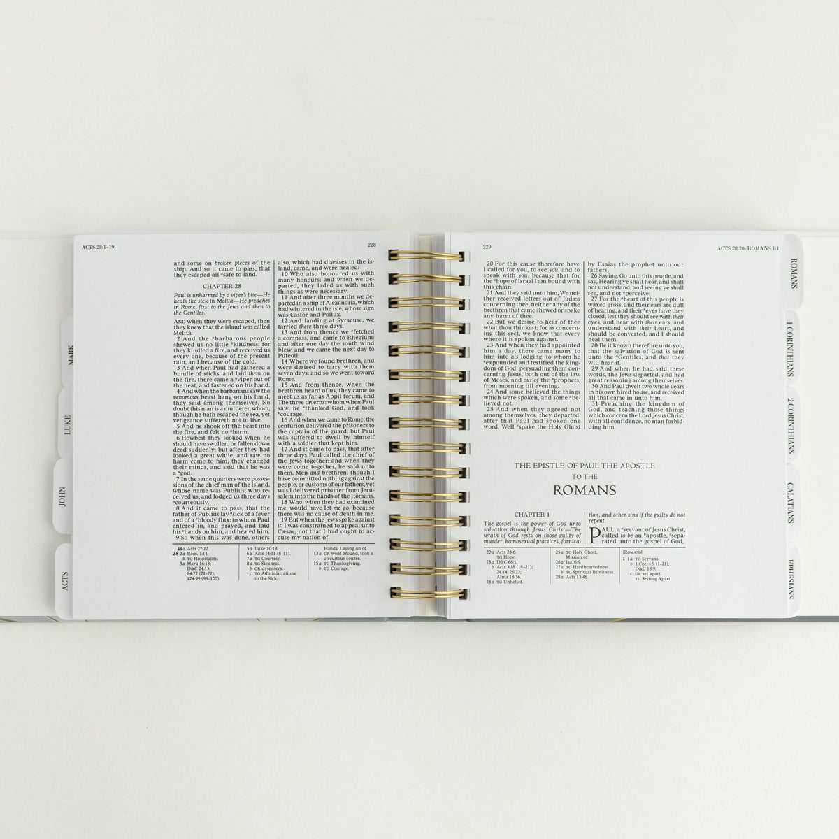 The New Testament : Study Edition 40% OFF!