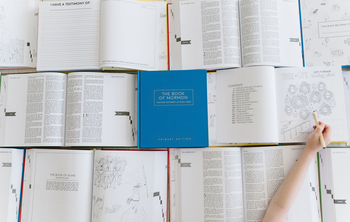 The Primary Edition