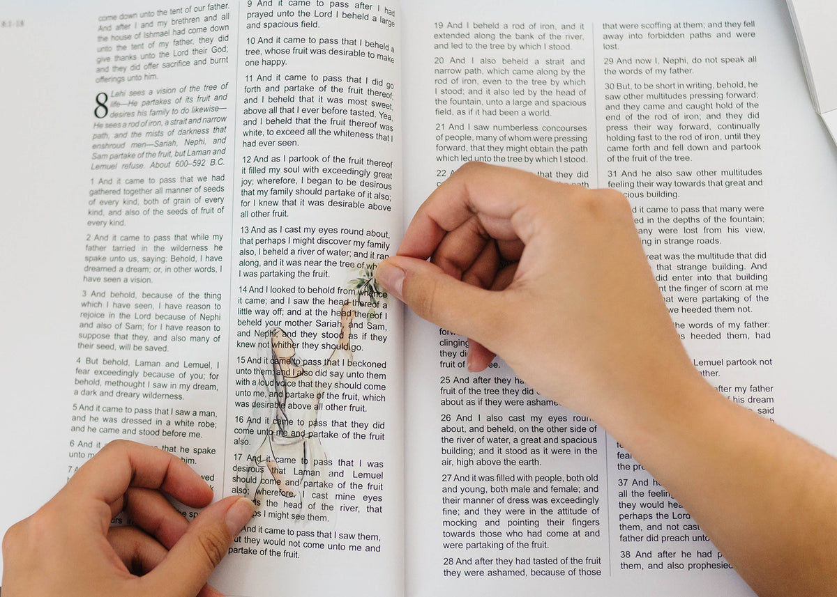 Book Of Mormon Scripture Stickers