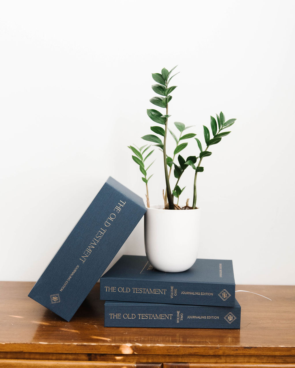 Old Testament Bundle - Journaling Edition