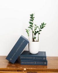 Old Testament Bundle - Journaling Edition