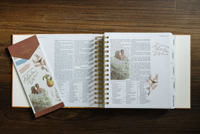 Old Testament Scripture Stickers