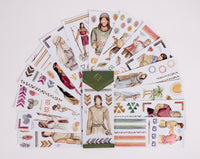 Book Of Mormon Scripture Stickers