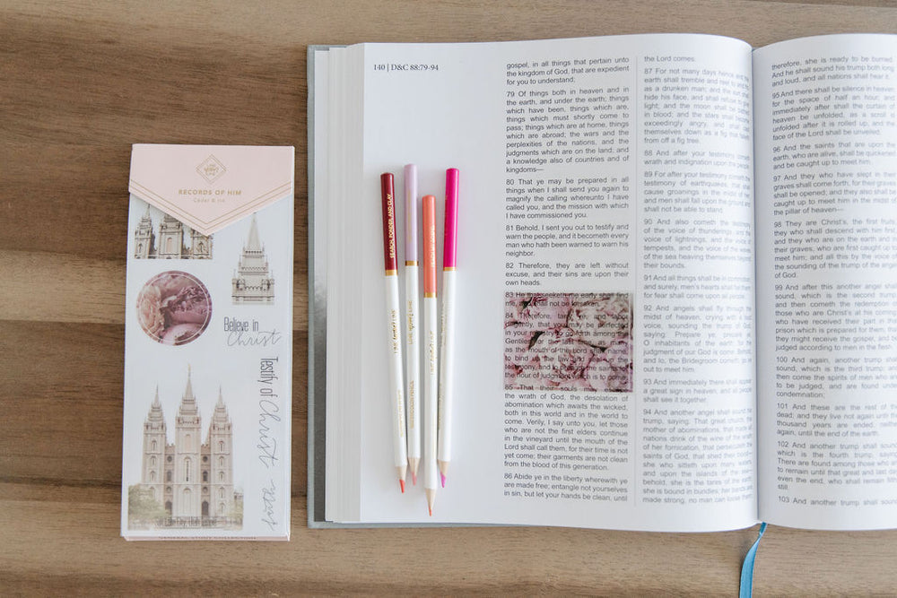General Study Scripture Stickers – Line Upon Line, Co.