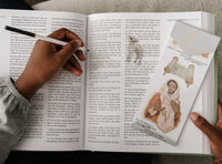 Old Testament Scripture Stickers