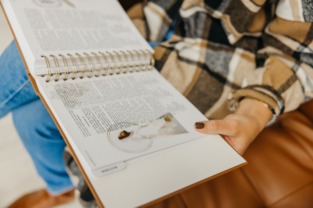 The New Testament : Study Edition – Line Upon Line, Co.